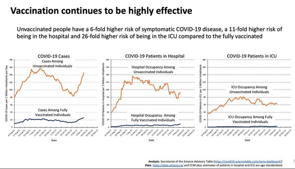 Austrian Vaccine Mandate (new details)