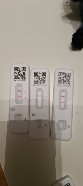 New LFT not really working