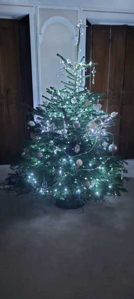 Do we have a show us your tree thread yet?