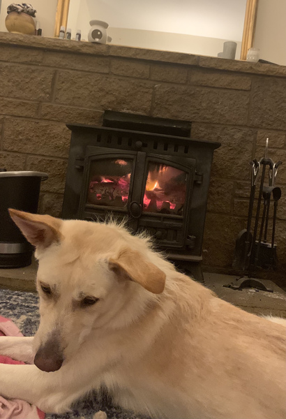 Can we please see pictures of your fireplaces and log burners ?