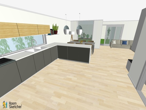 Island V Peninsula - which of these plans looks best?