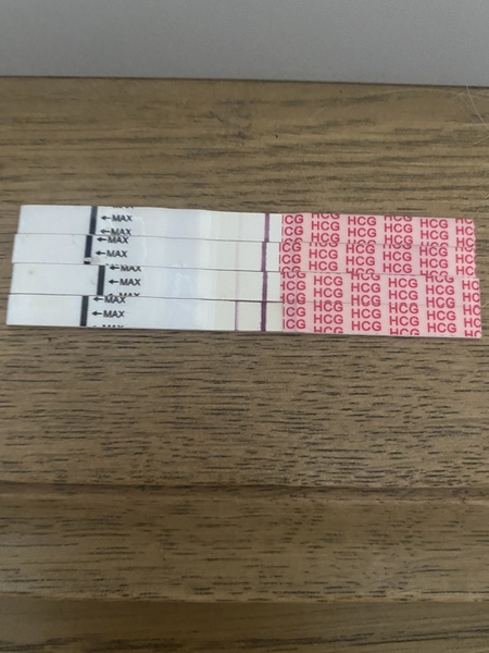 Due August 2022 ☀️