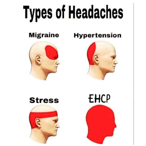 EHCP agreed for DD (17) - advice needed please on draft plan (which I think may not be fit for purpose)
