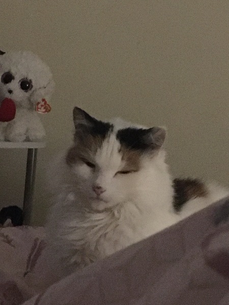 WHY IS SHE STARING AT ME???