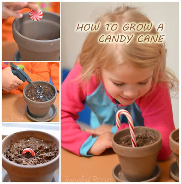 Candy cane for 3yr old