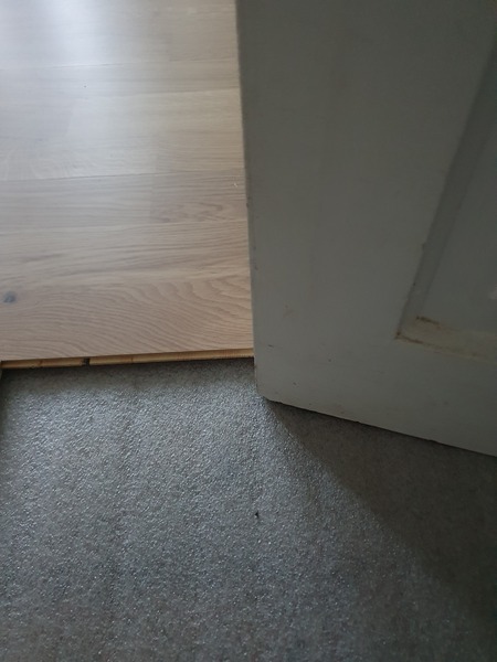 I think i have screwed up my flooring- too thick door wont open