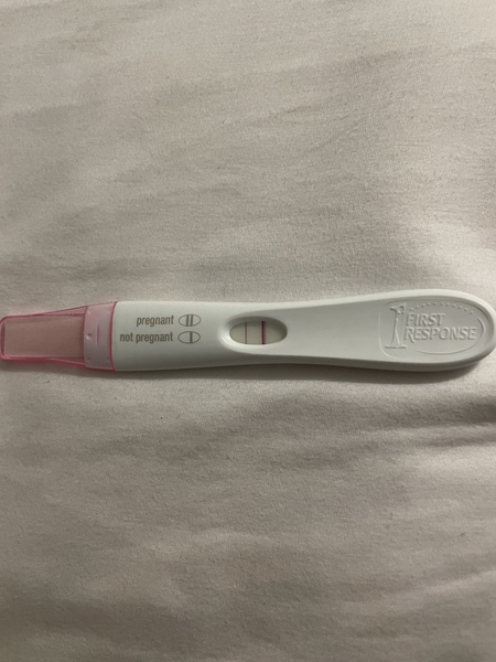 FET November/ December