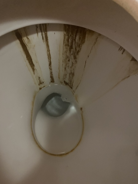 Toilet troubles