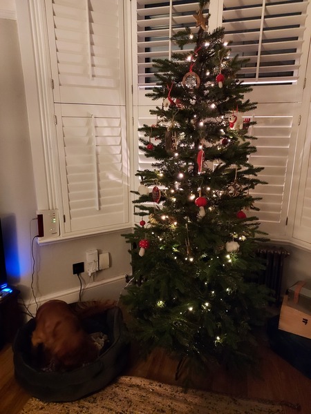 Replacing an artificial tree - recommendations?