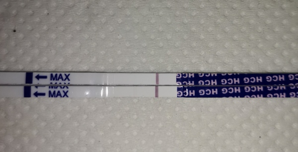 Ovulation after miscarriage?