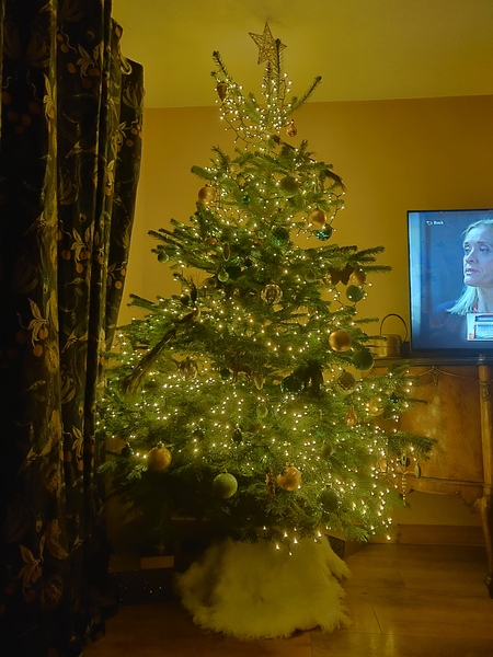 Do we have a show us your tree thread yet?