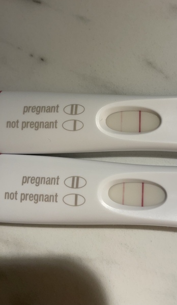 Due July/August 2022