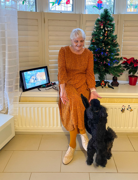 What are you wearing today - Christmas countdown