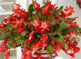 Thread 26 - the one with pervy pig throw