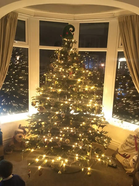Do we have a show us your tree thread yet?