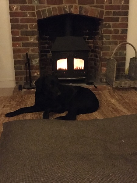 Can we please see pictures of your fireplaces and log burners ?