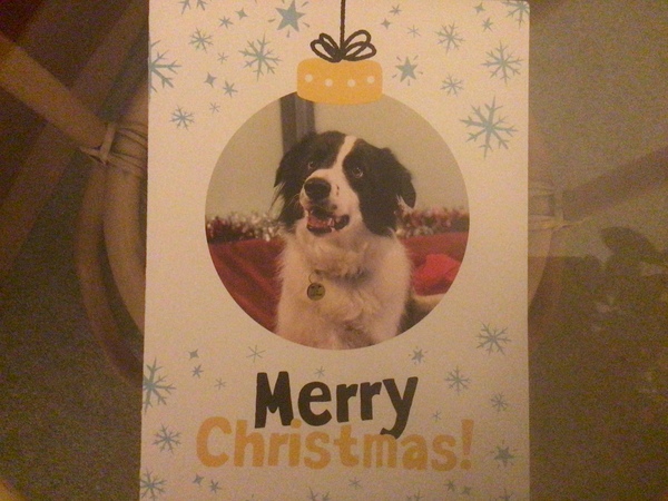 I've only got one Christmas scarf from my mum. When do you post yours ?