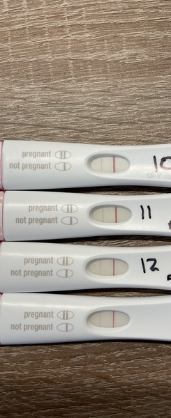 FRER Experiences (photo attached)