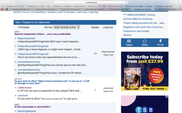 Do you want to allow “https://www.mumsnet.com” to use up to 1.2 GB of storage on your Mac?