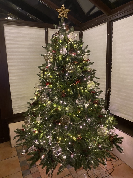 Do we have a show us your tree thread yet?