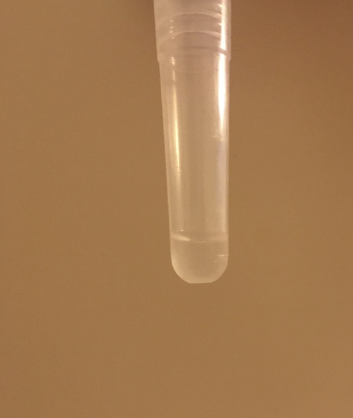 New LFT not really working