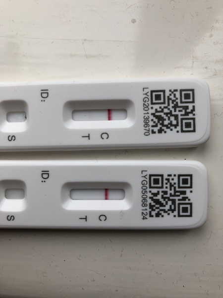 Multiple positive LFTs but negative PCR?