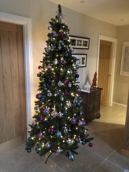 Do we have a show us your tree thread yet?