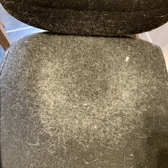 Where does your cat sleep at night?