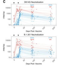 A 2-week 'circuit breaker' could be coming after Christmas