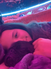 Best small breed for a family