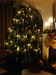 Do we have a show us your tree thread yet?