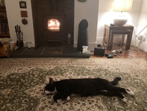 Can we please see pictures of your fireplaces and log burners ?