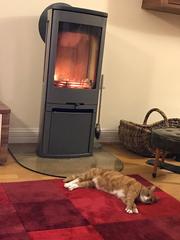 Can we please see pictures of your fireplaces and log burners ?