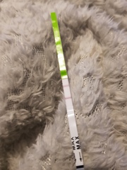 Ovulation tests