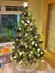 Do we have a show us your tree thread yet?