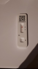 WIBU to fake a positive Covid test so everybody f***s off?