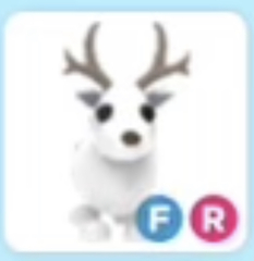 Best small breed for a family