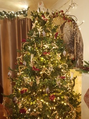 Do we have a show us your tree thread yet?