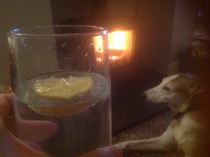Can we please see pictures of your fireplaces and log burners ?
