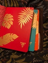 to think that there's nothing more exciting in life than choosing a new diary/planner for the new year?