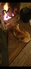 Can we please see pictures of your fireplaces and log burners ?