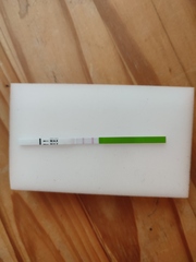 LH test - is this positive? Help!