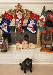 UNOFFICIAL Christmas Name Change Thread