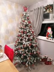 Do we have a show us your tree thread yet?