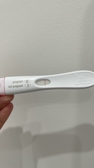 Vvvfl at 8 dpo