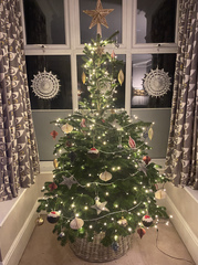 Do we have a show us your tree thread yet?
