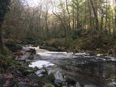 Any Witches Here? Part 16