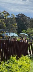 Neighbours Spoilers: Is Harlow actually a psychopath? Will Glen get revenge on Paul? And who will survive the storm?