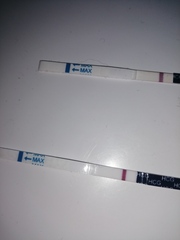 Slight line ladies