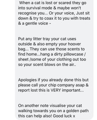 My cat is missing and I'm devastated